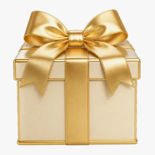 Wrapped gift box — Spinfin