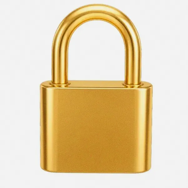 Orange padlock — Spinfin