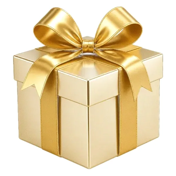 Gift box — Spinfin