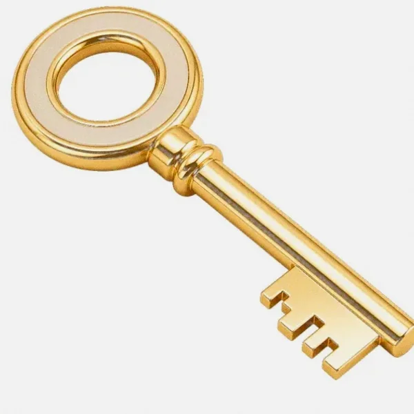 Round-headed key — Spinfin
