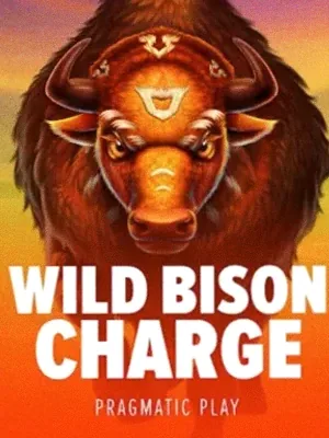 Wild Bison Charge at Spinfin