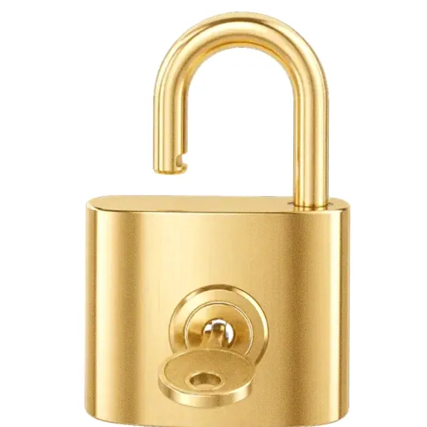 Open padlock — Spinfin