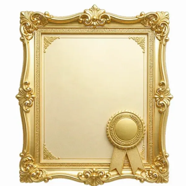 Framed certificate — Spinfin