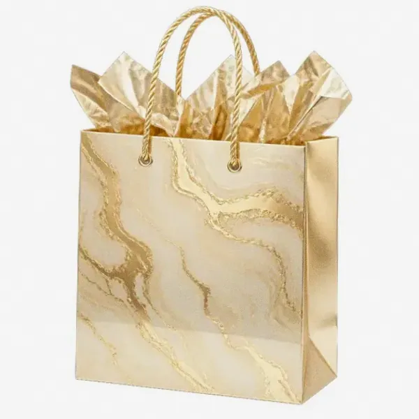 Paper gift bag — Spinfin