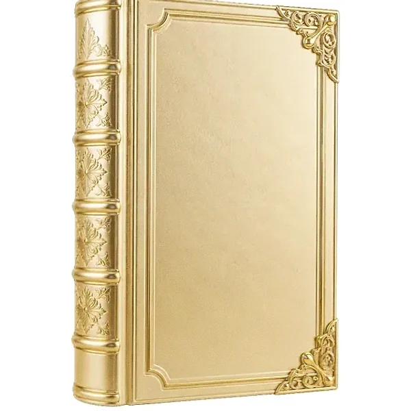 Leather-bound book — Spinfin