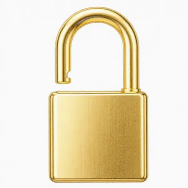 Padlock — Spinfin