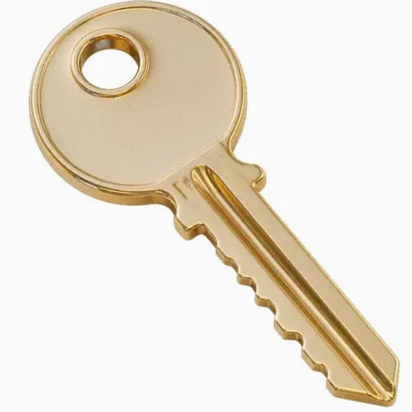 Metal key — Spinfin